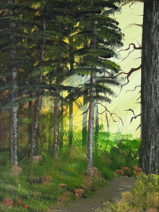 Morning Rays in the Forest